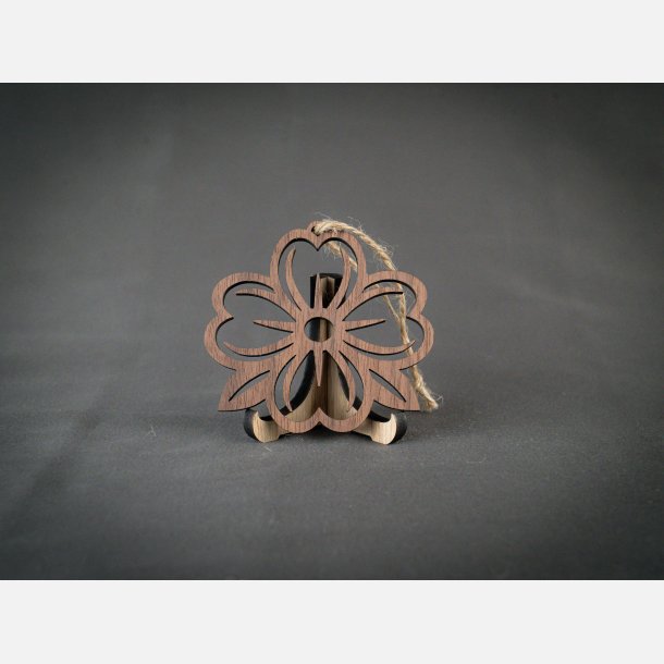 Anemone | Valn�d