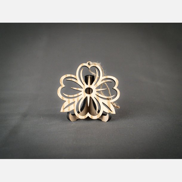 Anemone | Ask